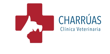 Clínica Veterinaria Charrúas